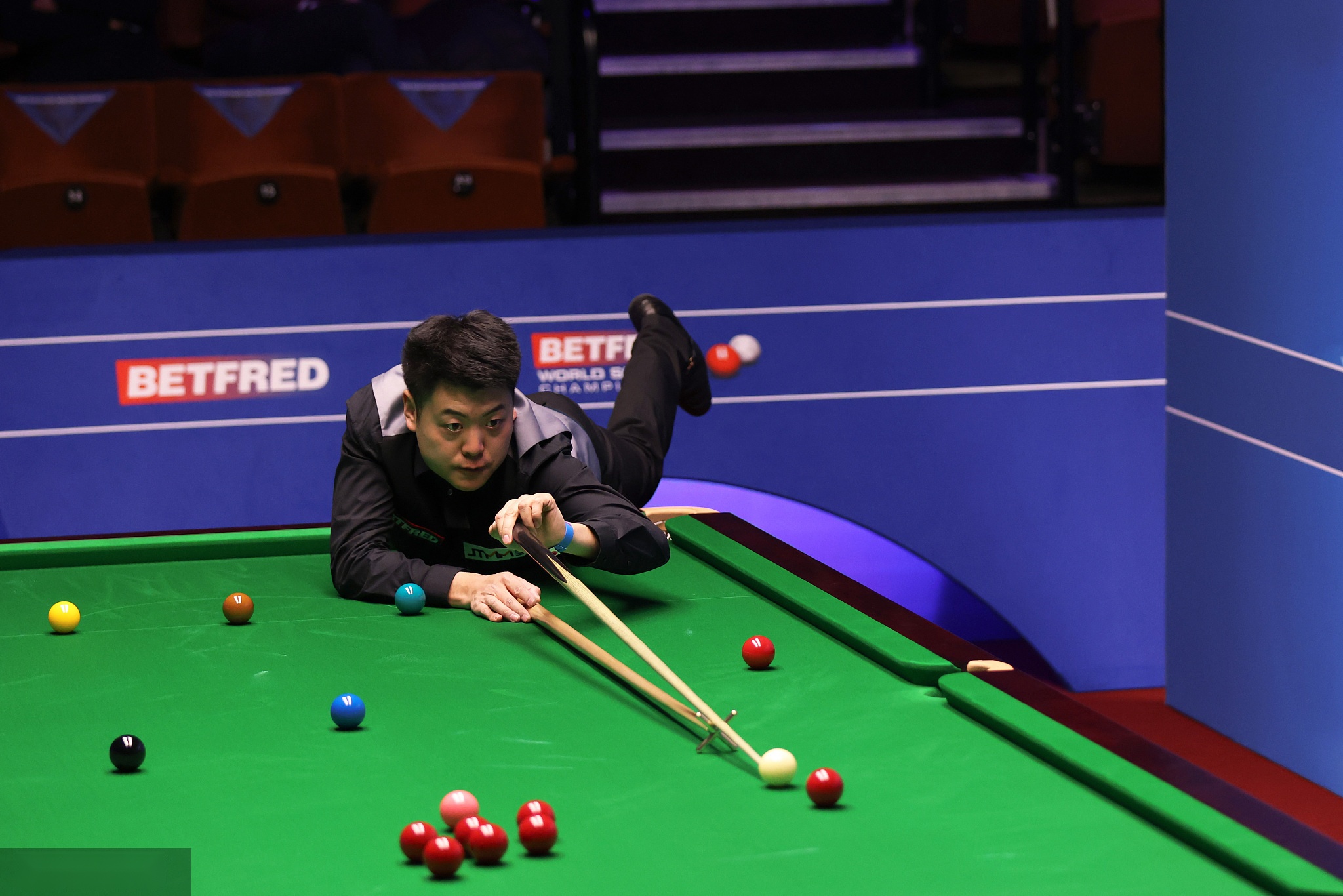 麦的大个子 麦的大个子