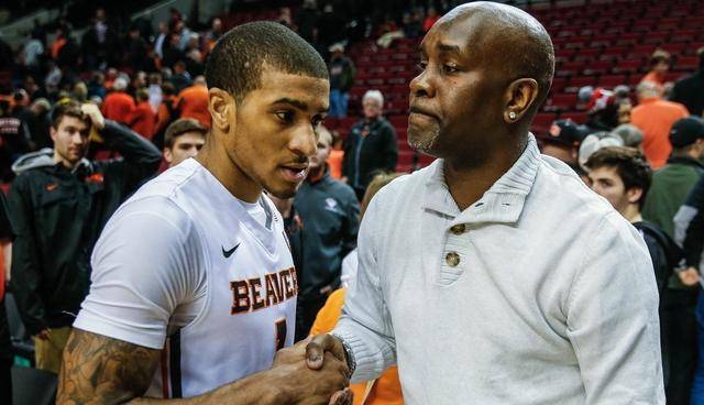 的履历中 的履历中