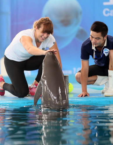 成功续约的 成功续约的