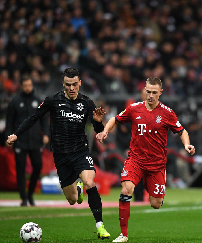 尖的营养团 尖的营养团